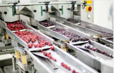 Curs Fonduri Europene Cluj Napoca - Scriere Proiecte & Accesare 2022 te ajuta sa implementezi un poriect fabrica de fructe inghetate ambalare si procesare